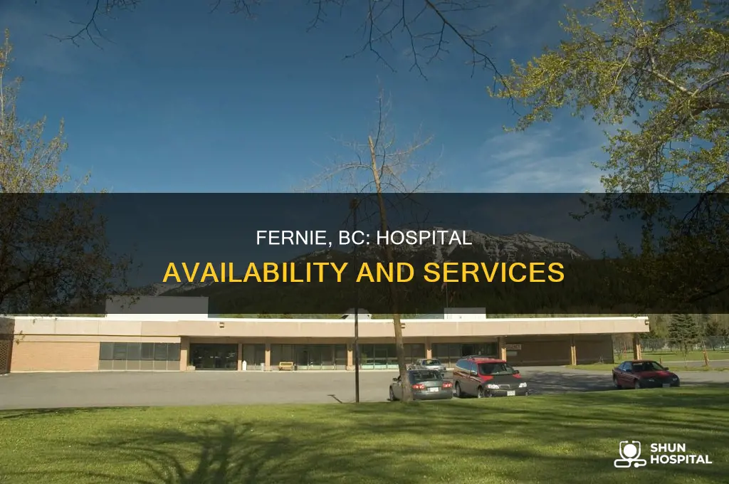is there a hospital in fernie bc