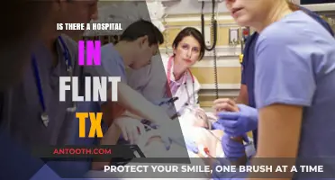 Flint, TX: Are There Hospitals Nearby?