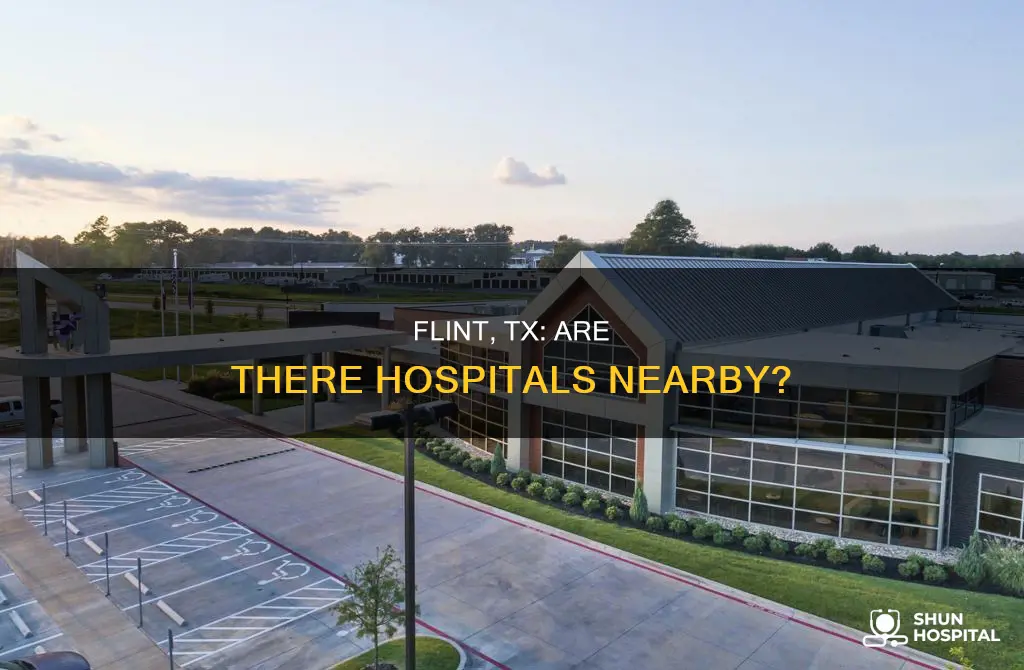 is there a hospital in flint tx