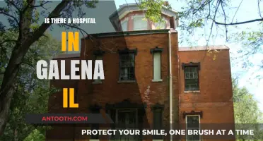 Galena, IL: Hospital Availability and Healthcare Options
