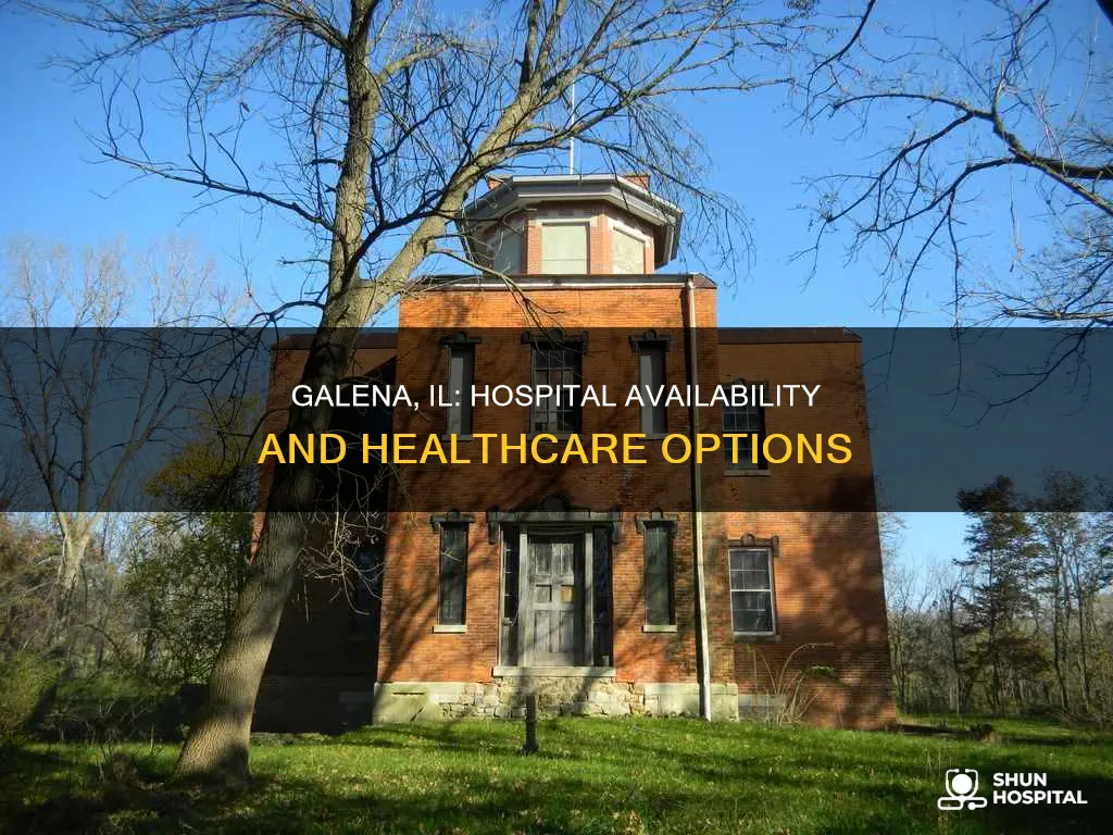 is there a hospital in galena il