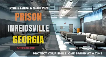 Georgia State Prison in Reidsville: Hospital Facilities Explained