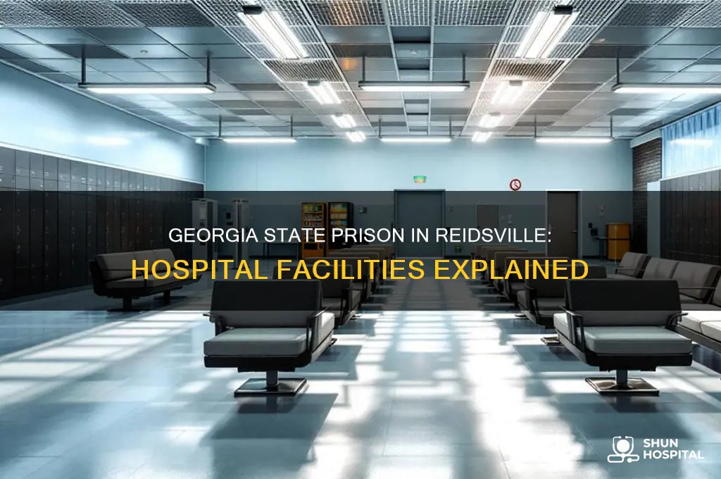 is there a hospital in georgia state prison inreidsville georgia