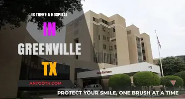 Greenville, TX: Hospital Availability and Healthcare Options