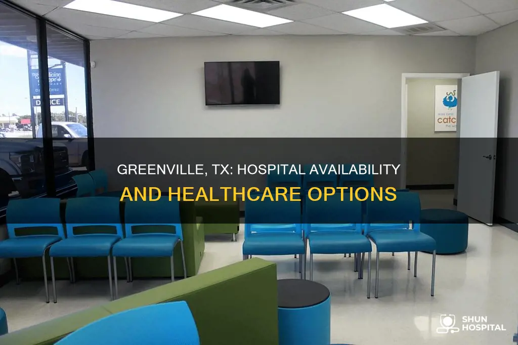 is there a hospital in greenville tx