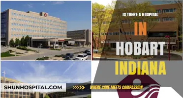 Hobart Indiana: Hospital Availability and Services