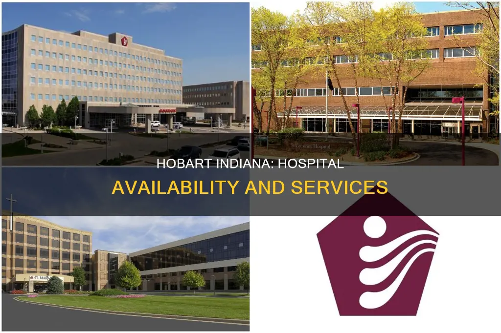 is there a hospital in hobart indiana