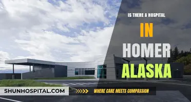 Homer Alaska: Hospital Availability and Healthcare Services