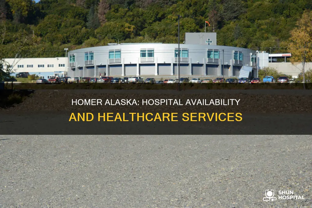 is there a hospital in homer alaska