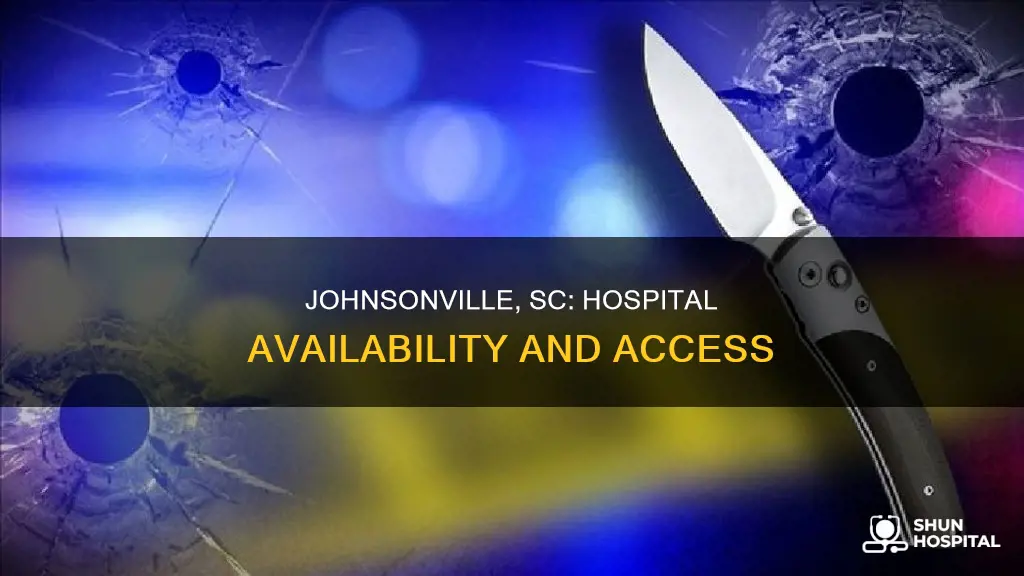 is there a hospital in johnsonville sc