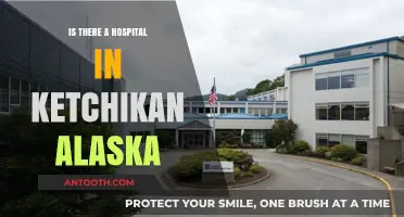 Ketchikan, Alaska: Hospital Availability and Healthcare Options