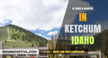 Ketchum, Idaho: Hospital Availability and Healthcare Options