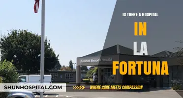 Fortuna's Healthcare: Hospital Availability and Services