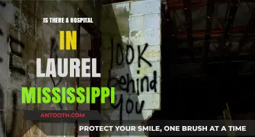 Laurel, Mississippi: Hospital Availability and Healthcare Options