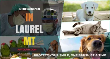 Laurel, MT: Hospital Availability and Healthcare Options