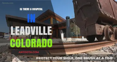 Leadville, Colorado: Hospital Availability and Healthcare Access