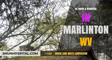 Marlinton, WV: Hospital Availability and Healthcare Access