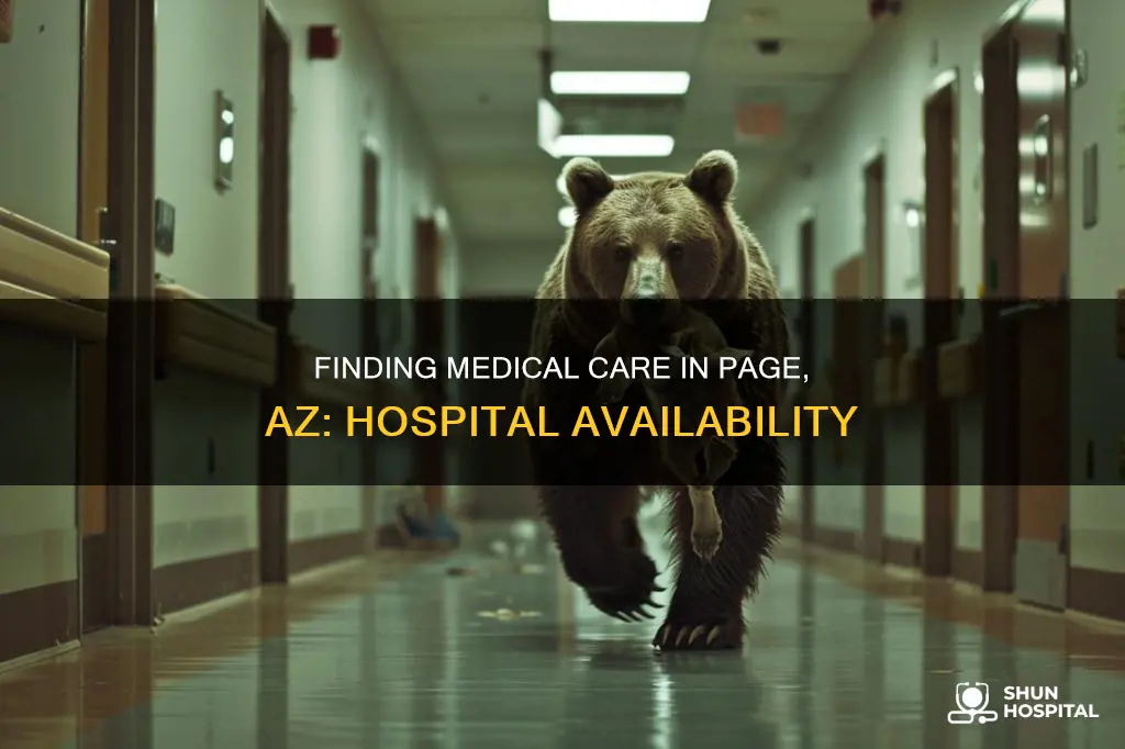 is there a hospital in page az