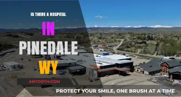 Pinedale, WY: Hospital Availability and Healthcare Access