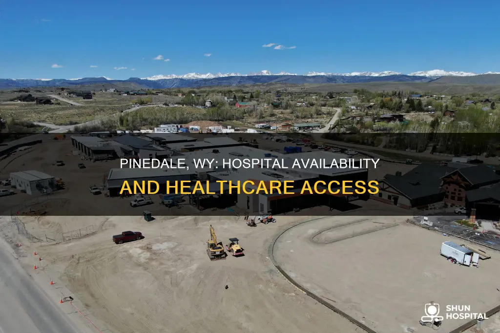 is there a hospital in pinedale wy