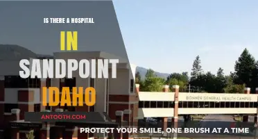 Sandpoint, Idaho: Hospital Availability and Healthcare Options