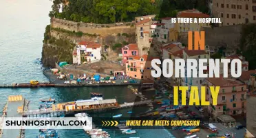 Sorrento's Hospital: Location and Services