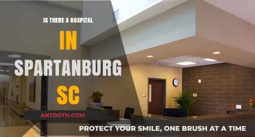 Spartanburg, SC: Hospitals and Healthcare Services
