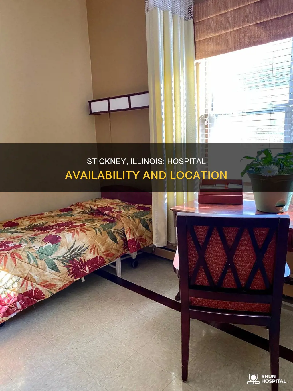 is there a hospital in stickney illinois