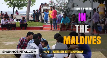 Hospital Care in the Maldives: Availability and Access