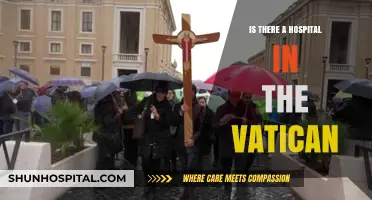 The Vatican's Hospital: A Comprehensive Medical Facility