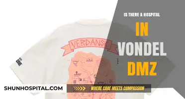 Hospital Access in DMZ: Vondel's Medical Services