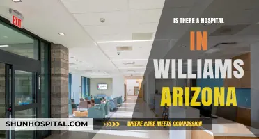 Williams, Arizona: Hospital Availability and Healthcare Options