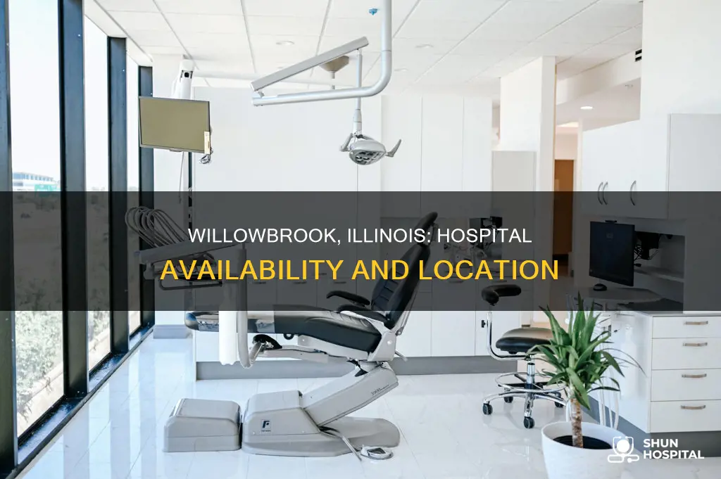 is there a hospital in willowbrook illinois