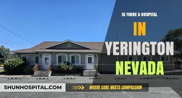 Yerington, Nevada: Hospital Availability and Healthcare Access