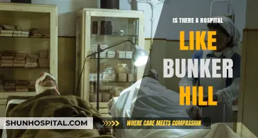 Bunker Hill Hospital: A Real-Life Medical Sanctuary?