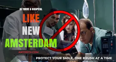 The Real-Life New Amsterdam: Do Such Hospitals Exist?