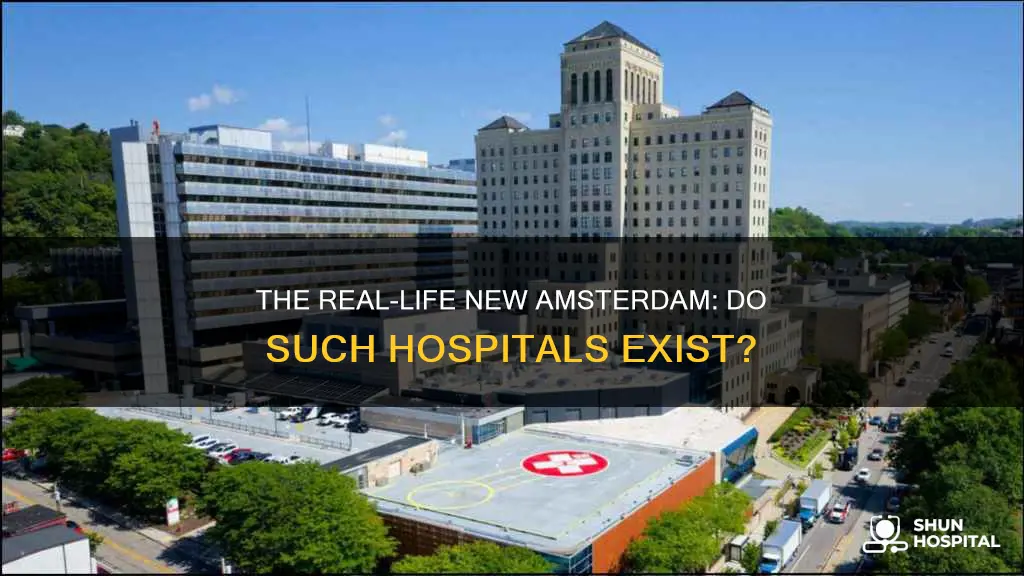 is there a hospital like new amsterdam