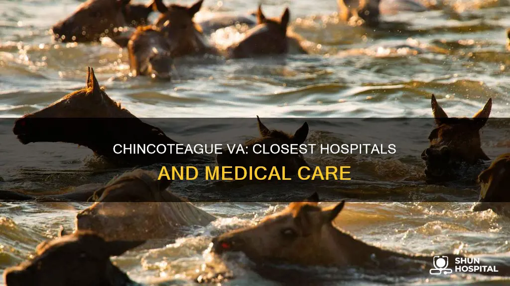 is there a hospital near chincoteague va