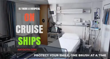 Hospital Care on Cruise Ships: What's the Deal?