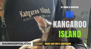Hospital Care on Kangaroo Island: What's Available?