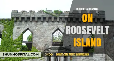 Roosevelt Island: Hospital Availability and Accessibility