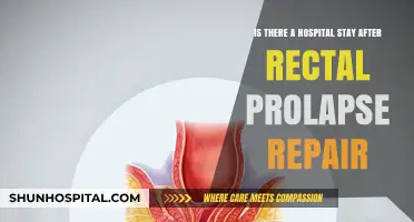 Rectal Prolapse Repair: Understanding Post-Surgery Hospital Stay Requirements