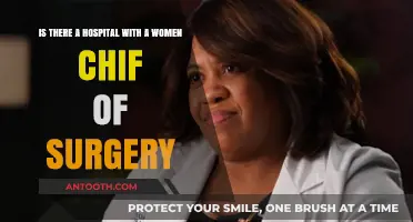 Women Leading Surgery: Are There Hospitals with Female Chiefs?