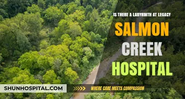 Exploring the Mystery: Labyrinth at Legacy Salmon Creek Hospital?