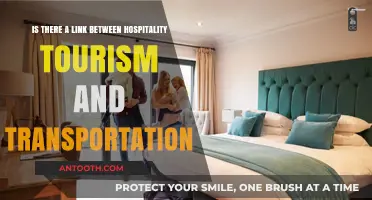 Exploring the Interconnection: Hospitality, Tourism, and Transportation Dynamics