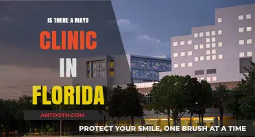 Mayo Clinic in Florida: What You Need to Know