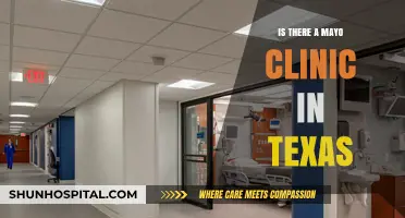 Mayo Clinic in Texas: Where and What to Expect