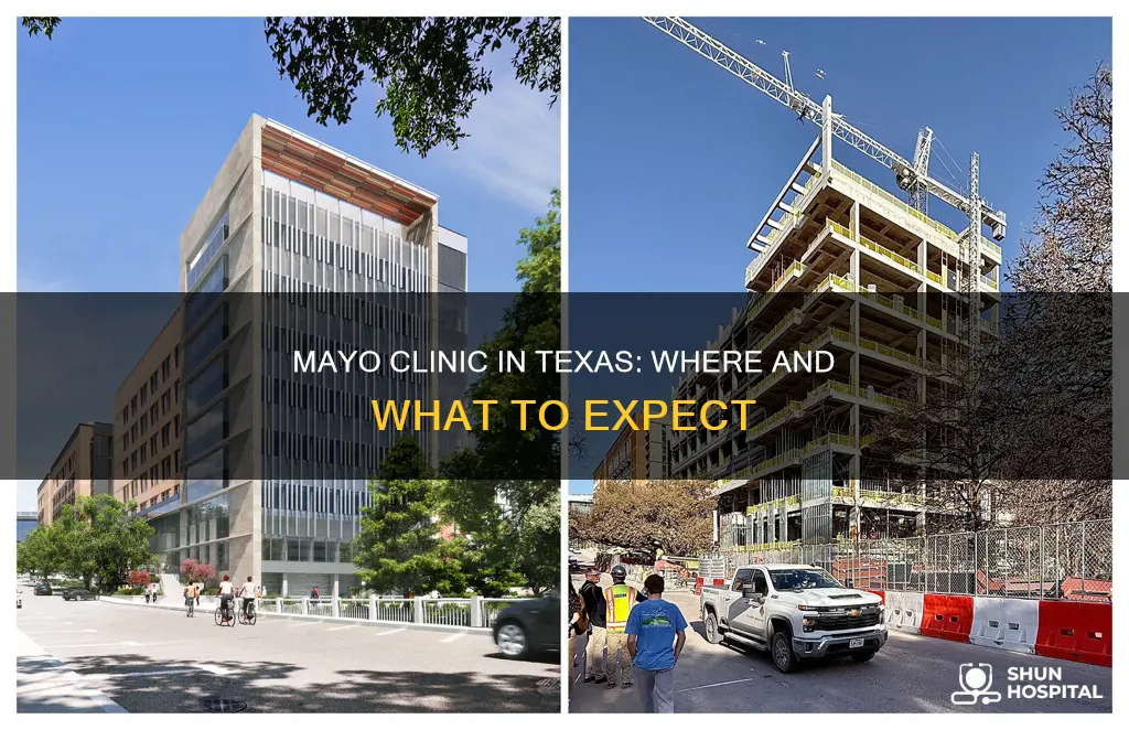 is there a mayo clinic in texas