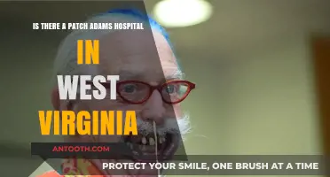 Patch Adams' Legacy: Exploring the Health Care Clinic in West Virginia