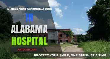 Alabama's Criminally Insane: Hospital or Prison? Uncovering the Truth